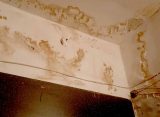 Из-за оттепели в Новомичуринске второй раз затопило квартиры одной из многоэтажек