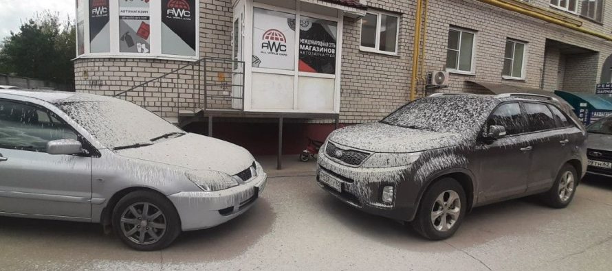 В Рязани на улице Вишневой припаркованные авто облили белой краской