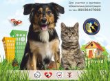 Рязанцев приглашают в Лесопарк на выставку бездомных собак и кошек
