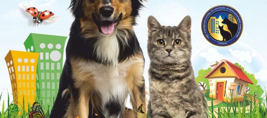 Рязанцев приглашают в Лесопарк на выставку бездомных собак и кошек