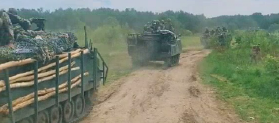 «Древесную» защиту натовских бронемашин ВСУ высмеяли в соцсетях