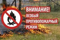С 5 июля в Рязанской области действует особый противопожарный режим