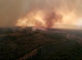 Рослесхоз: причина лесных пожаров на Рязанщине – человек