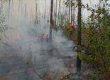 Павел Малков прокомментировал лесные пожары на Рязанщине