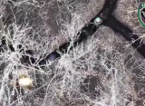 RusVesna: русские дроны точечно уничтожают врага в окопах под Угледаром
