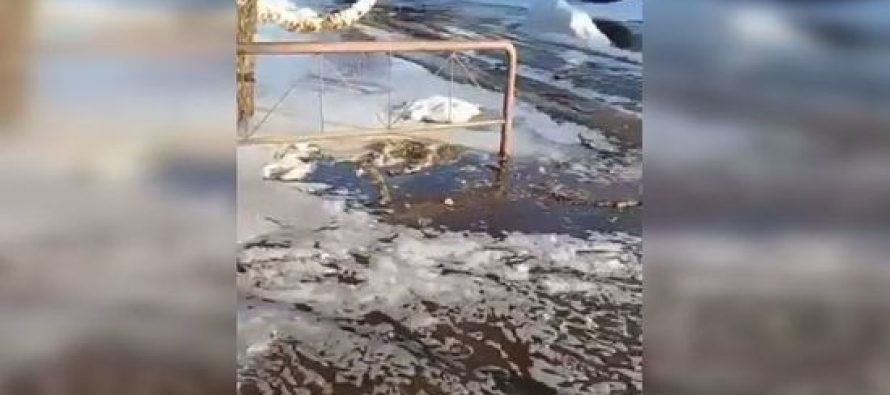 Жители села Тюшево под Рязанью жалуются на навозные потоки на улицах