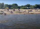К купальному сезону с 1 июня в Рязани заработает четыре официальных пляжа