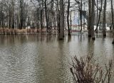 Пора сколотить плот: Гагаринский парк в Рязани превратился в «море»