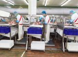 В Кораблинском районе началось строительство предприятия по переработке мяса