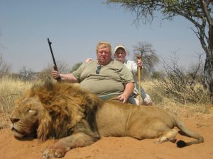 В Южной Африке львов разводят для продажи охотникам и туристам