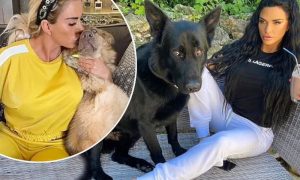 The Sun: британская медийная личность Кэти Прайс завела очередного «любимого» щенка