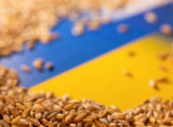 Польский министр Телус назвал «аграрное» условие вступления Украины в ЕС