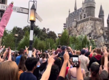 Фанаты «Гарри Поттера» поднятием волшебных палочек простились с Майклом Гэмбоном