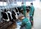 Рязанская «ЭкоНива» вошла в десятку лучших по продуктивности молочного стада в России