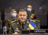 РИА Новости: именем главкома Залужного на Украине назвали уголовное дело