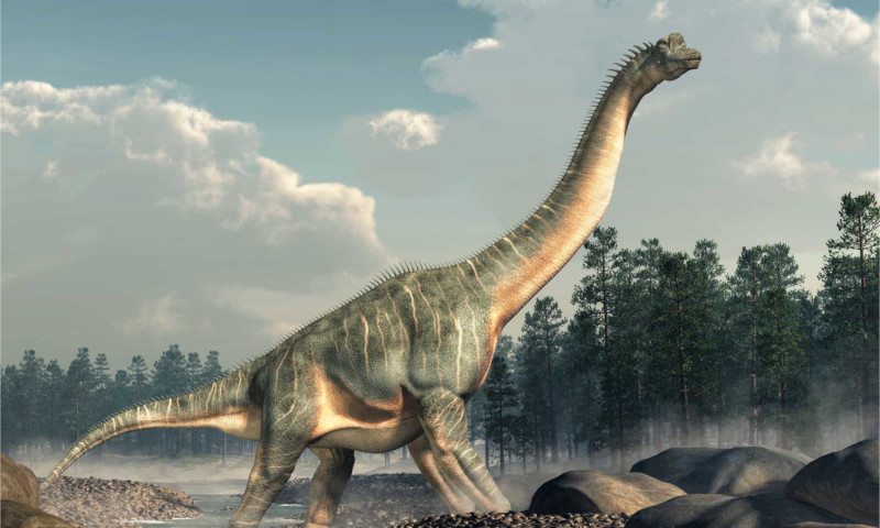 20minutes: правда ли, что большинство динозавров – хищники