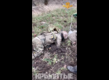 В Хромово ВСУ бросили «жуткие поля» погибших солдат