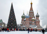 Главную новогоднюю ель для Красной площади торжественно спилят 11 декабря в Щелково