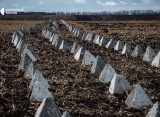 Politico: у Киева нет мин и мобилизованных для создания новых линий обороны