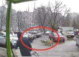 В рязанском Канищево женщину с собакой атаковала свора бездомных псов