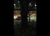 Полиция задержала рязанца за езду по парку в Дашково-Песочне