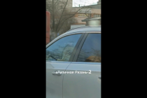 Житель Рязани показал мчащийся по дороге автомобиль с собакой-водителем