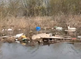 Рязанцы жалуются на мусор, всплывший в Оке после половодья