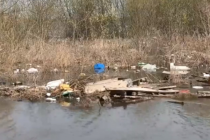 Рязанцы жалуются на мусор, всплывший в Оке после половодья