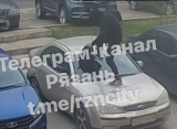 На Новосёлов рязанец разбил лобовое стекло припаркованного автомобиля