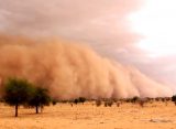 Рязанцы показали «отголоски» песчаной бури из Сахары, дошедшие до Солотчи