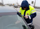 Рязанские инспекторы ГИБДД за день выписали штрафы за тонировку 100 водителям