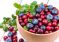 Медик не включила клубнику в топ-3 самых полезных для здоровья ягод