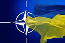 Профессор Марплс: путь в НАТО для Украины закрыт, несмотря на обещания Блинкена