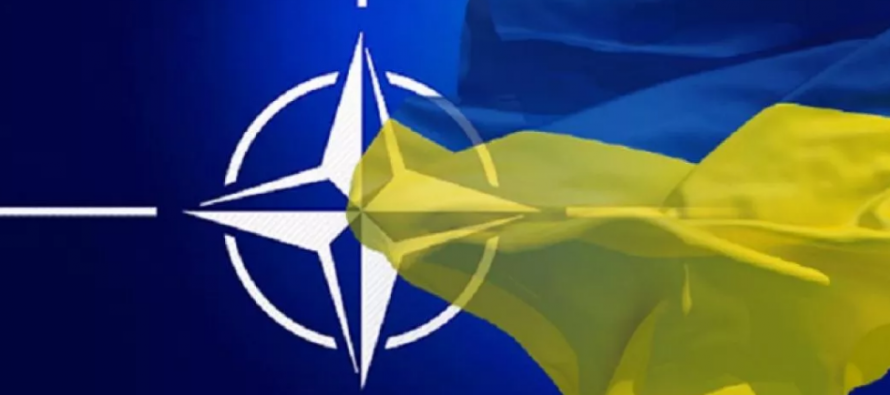 Профессор Марплс: путь в НАТО для Украины закрыт, несмотря на обещания Блинкена