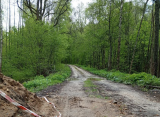 В Касимовском районе Рязанской области разваливается автомобильный мост
