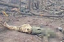 Военкор Зимовский назвал место съемки видео из лесополосы, усеянной телами солдат ВСУ
