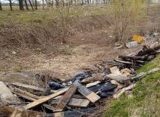 Рязанцы показали огромную свалку в овраге вблизи Житово Рыбновского района