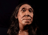 Британские археологи показали, как выглядела неандерталка Шанидар Z