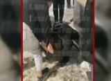 В Тамбове перед судом предстанут девушки, избивавшие прохожих около ТЦ