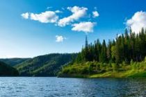 В Рязанской области стартует проект Почтовый лес