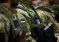 67-я мехбригада ВСУ обвинила командование в потере под Часовым Яром «всего костяка»
